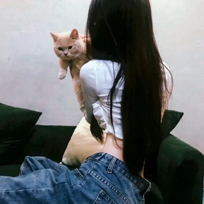 一路狂奔